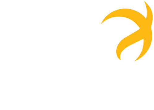 logo-lumini-conhecimento