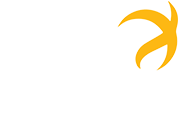 Lumini Conhecimento